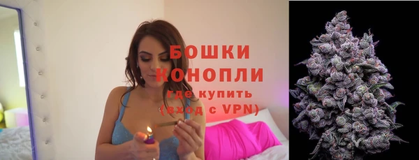 эйфоретик Бородино