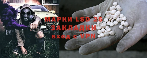 эйфоретик Бородино